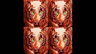 bluetigers🐯 prod. Zetry