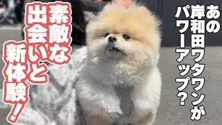 パワーアップしたワタワンに行ったらモチにいいことありました！！