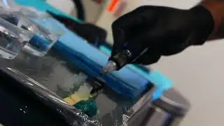 Tattoo video by our Proteam Artist David Palacios with EMALLA Eliot Cartridges Needles
