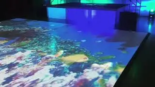 Video Mapping A Dance Floor | Ottawa Special Events | Event Production Ottawa | OSE | Ottawa