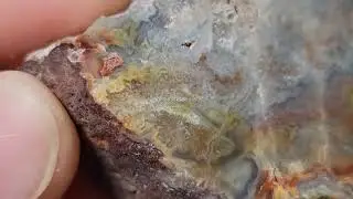 Rosetta Lace Agate #1