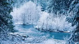 Frozen Landscapes