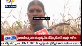 SUNCROP-405 SEED FAILS AT TIMMAKPALLE: FARMERS TS - జైకిసాన్ - 16th September 2015