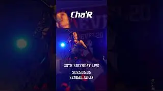 【Live Movie】Bamboleo / Cha'R  20th BirthDay Live  at sendai,japan 勾当台公園　#ちゃる #japan #jpop #shorts