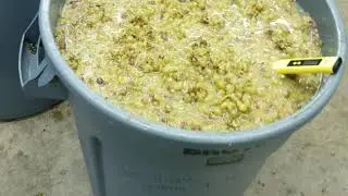 White Wine Acid Adjustment - Winemaking 20