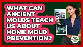 What Can Ancient Molds Teach Us About Home Mold Prevention? - Eco Home Blueprint