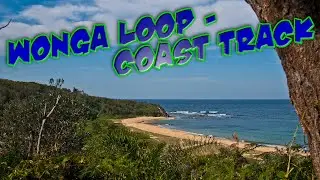 Amazing Spring Bush Walk - Wonga Loop & Coast Track