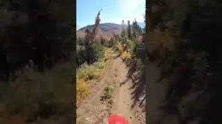 One of our favorite Dirtbike Trails in Northwest Montana