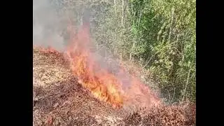Hmong country side burn the farm