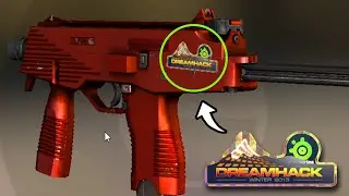 most IMPORTANT sticker in csgo...
