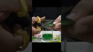 🔥Eno vs vinegar crazy experiment|simple science experiment|Easy experiment #short #ytshorts
