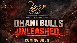 DHANI BULLS UNLEASHED 🐂 | Power & Aggression | Mustafa Cattle Farm Karachi