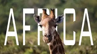 AFRICA - FPV Freestyle