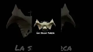 #sillaturca Cuerpo del esfenoides cara superior
