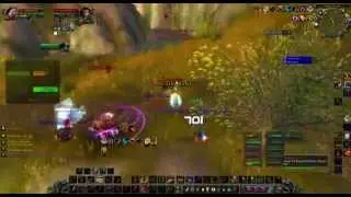 World of Warcraft Feral cat 79-Twink Arathi Basin