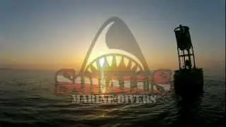 SEASON 2 PROMO - SQUALUS MARINE DIVERS