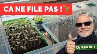 Réussir ses semis toute l’année 🌱 | Mon matériel simple et efficace