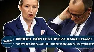 BUNDESTAG: Weidel kontert Merz knallhart! 