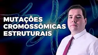 Alterações Cromossômicas Estruturais (Duplicação, Deleção, Translocação, Inversão)