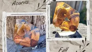 Acorn Paperweight 