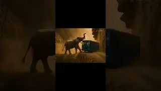 Hero Elephant Saves Bus From Deadly Landslide