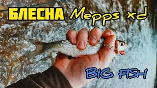 Рыбалка на реке Силинка || БЛЕСНА MEPPS XD сделала мою рыбалку