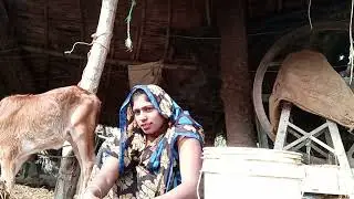 meri bhabhi gobar bathroom