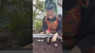 Start your garden NOW 🌱 #gardening #homegardening #growyourownfood