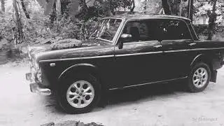 Fiat Premier Padmini 137D Restored