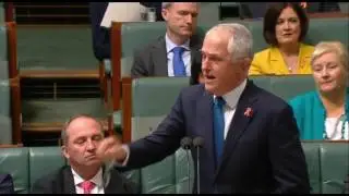 Anne Aly asks Malcolm Turnbull what racial speech do people want to say that they can't?