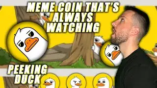 🦆🦆 Peeking Duck / Project Comprehensive Analysis / 