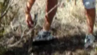 Andy's Cactus Mishap