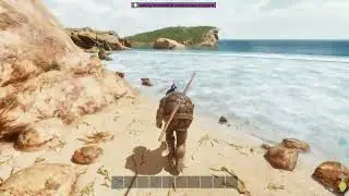 Turtles Takeover the Island