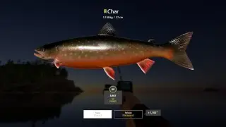 RF4 Hot spot : Ladoga lake Char, Red Char, Grey Char