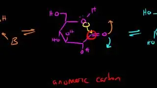 Sugar Nomenclature and the Anomeric Carbon