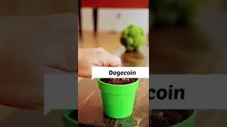 CRYPTO CURRENCY TIPS :- Doge 💸🪙is coming into the buying zone grab🧤💰 it fir better future 🤑💰💵