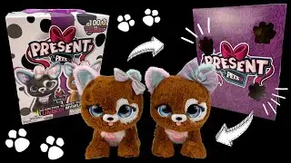 Present Pets Glitter Surprise Puppy Interactive Plush Pet Toy Unboxing