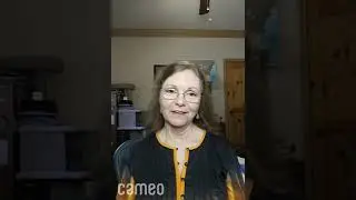 Sandy Johnson  (Halloween- Judith myers)  reviewed my book!