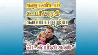 #dolpins#பெரிய வெள்ளை சுறா# டால்பின்கள் #மனிதர்களிடம் இல்லாத ஒன்று---