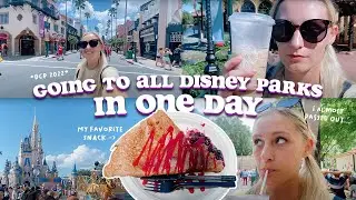 Visiting ALL Disney Parks in One Day! | DCP 2022