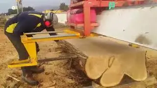 Mahoe Slabber 1