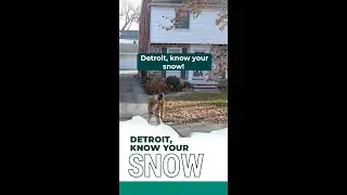 Know Your Snow: Detroit Driveway Shoveling Rules Explained