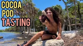 Cocoa Pod Tasting and life update