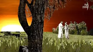 Sulla Strada (Tv2000) - IV Domenica del Tempo Ordinario