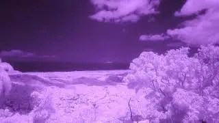 Infrared photography 950nm filter with Nikon p900