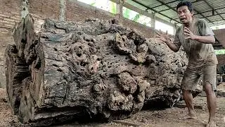 The Moment the Blade Touches This Majestic Redwood&hellip; Everything Changes