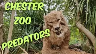 Chester Zoo: Predators Animatronics exhibition Tour 2019