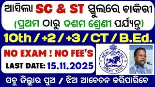 SC / ST ସ୍କୁଲରେ ଚାକିରୀ | Odisha School Recruitment 2025 | New Government Job Vacancy