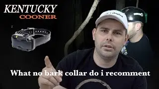 What No Bark Collar do i Recomend ???