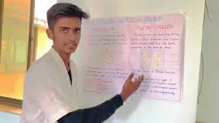 Study of micro emulsion and multiple emulsion | presentation |